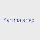 Agence immobiliere karima anex
